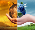2016, cel mai fierbinte an la nivel global. Anuntul vine din partea meteorologilor din Marea Britanie