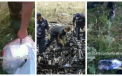 Catastrofa in Ucraina. Trenul cu corpurile pasagerilor zborului MH17 a parasit gara. Cadavrele, predate Olandei
