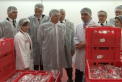 (P) Expertii europeni au apreciat din nou calitatea mezelurilor de la Rogob dupa o vizita la fabrica