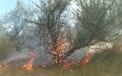Incendiu la Causeni. Peste 5 hectare au fost mistuite de flacari. De la ce a pornit totul