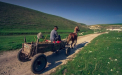 Moldova, asa cum nu ai mai vazut-o! VEZI AICI noul spot de promovare a tarii noastre! Iti place? VIDEO