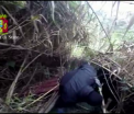Doi lideri ai mafiei italiene, arestati dupa 10 ani. Unde i-au gasit politistii: "Traiau ca niste animale"