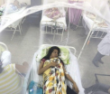 Primele morti cauzate de virusul Zika, anuntate in Columbia. Cercetatori brazilieni au detectat virusul in urina si saliva