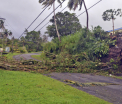 Statul Fiji, declarat "zona dezastru" dupa ce a fost lovit de cel mai puternic ciclon. 5 morti si distrugeri uriase - FOTO