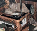 De cat timp murise de fapt germanul care a fost gasit mumificat pe iahtul sau. Rezultatele autopsiei