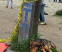 Imaginea care a frant inimile a mii de oameni. Un caine loial plange moartea stapanului sau, ucis intr-un accident rutier - FOTO