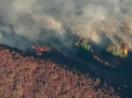 Incendii de vegetatie in California. Zeci de locuinte ce stau in calea focului au fost evacuate