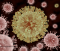 Prima persoana contaminata cu Zika pe teritoriul Germaniei. De ce acest caz este unic in Europa