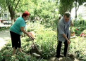 Fa-ti EUROPA ACASA! Ei sunt cei care ne fac capitala mai frumoasa si mai curata. Tu poti sa le urmezi exemplul?