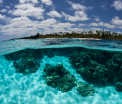 Trupul mutilat al unui celebru politician, descoperit pe o plaja de nudisti din Noua Caledonie. Politia a retinut 2 persoane