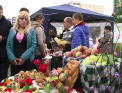 Producatorii de mere s-au plans la Soroca. Zeci de oameni au venit la Festivalul Marului