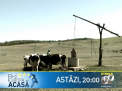 Astazi, la PRO TV: Moldova, nevoita sa-si recucereasca cetatenii imprastiati prin lume. Cum? Aflati azi la stiri