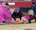 Scene dramatice in Spania. Un matador cu experienta a murit, impuns de taur: sotia barbatului a asistat la tragedie - VIDEO 