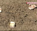 Un barbat s-a razbunat pe vecinii "lacomi si zgarciti" aruncand cu euro in ei. Ce au facut acestia cu banii - FOTO