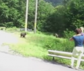 Imagini uimitoare, surprinse pe Transfagarasan. O femeie cu un copil in brate, filmata in timp ce hranea doi pui de urs