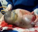 VIDEO. GALERIE FOTO. Ninge in nordul tarii. In mai multe orase s-a depus un strat gros de zapada