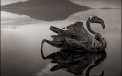 Fenomenul infricosator care se petrece langa acest lac. Animalele se transforma in stana de piatra