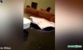 Un star urias, filmat cand isi batea logodnica. VIDEO revoltator