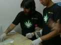 Chile a devenit prima tara din America Latina care cultiva canabis in scopuri medicale. La ce boli se va folosi