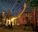 Dubaiul impresioneaza din nou. A inaugurat cel mai mare parc tematic acoperit - VIDEO