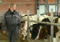 Fa-ti EUROPA ACASA! In Europa - o crima, la noi - un lucru firesc. Cum isi trateaza animalele fermierul MODEL din Moldova
