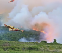 Incendii uriase de vegetatie in Europa. Trei oameni au murit pe insula portugheza Madeira