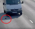 "Ne-am recuperat increderea in umanitate!" O pisicuta, salvata in ultima clipa din mijlocul unei autostrazi aglomerate - VIDEO