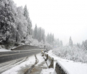 In Romania, continua sa ninga. Stratul de zapada cazut in zonele montane din Maramures a depasit 20 cm 