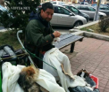 Un ITALIAN a ajuns sa cerseasca in Romania. "Cel mai rau a fost in Botosani, la Piatra Neamt politia m-a lasat in pace"