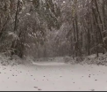 Furtuni de zapada si temperaturi neobisnuit de mici in Croatia si Bosnia. Cat va mai dura vremea rea