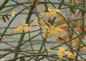 Se STRICA vremea, VINE FRIGUL! Ce temperaturi ne asteapta in urmatoarele zile