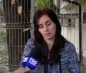 Bebelusul care a murit in elicopterul SMURD a fost victima unei meningite. Ce raspund medicii la acuzatiile mamei