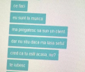 Roman concediat dupa ce a vorbit cu iubita, la serviciu, pe messenger. Statul francez ii ia apararea in fata CEDO
