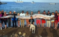 Creatura marina gigantica, de 5 metri si jumatate, descoperita in largul coastei californiene. VIDEO