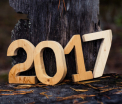 Predictiile pentru 2017. Va fi un an tumultos, plin de decizii importante si multa confuzie in lume