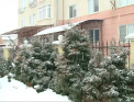 Iarna se imblanzeste. Ce VREME ne asteapta in urmatoarele zile