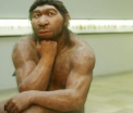 Descoperire importanta a oamenilor de stiinta. Ce "medicamente" folosea Omul din Neanderthal pentru a-si trata ranile