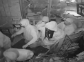 VIDEO. Momentul in care sute de persoane dau buzna intr-un magazin din SUA