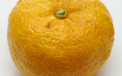 Yuzu, "super fructul" care ar putea inlocui portocalele. Ce gust are