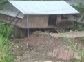 Alunecari de teren si inundatii provocate de ploile torentiale, in Peru. Sute de familii au ramas fara locuinte