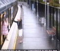 Un copil de cativa ani a cazut in spatiul dintre metrou si peron, intr-o statie din Sydney. Ce s-a intamplat cu acesta