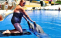 "Aratam ca o balena in comparatie cu delfinii". Femeia care a reusit sa slabeasca 44 de kilograme
