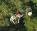 Un cal si stapanul lui, salvati cu elicopterul dupa ce au alunecat intr-un canion din California