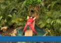 Sunt celebru, scoate-ma de aici! Probele extreme prin care au trecut vedete din Romania, in prima editie a show-ului