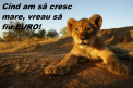 Deprecierea leului, motiv de panica, dar si de ...gluma. Ce colaje au aparut pe internet dupa ce EURO a ajuns la 30 de lei