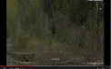 Creatura legendara surprinsa pe Google Earth. "V-am spus eu ca exista cu adevarat". VIDEO