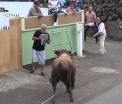 Era atat de concentrat sa filmeze un taur fioros incat nu a realizat ca se indreapta inspre el. Ce a urmat. VIDEO