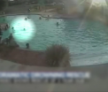 Poveste cu final fericit, la o piscina din Florida. Cine a salvat de la inec un copil in varsta de 3 ani