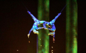 Accident la Cirque du Soleil. Un artist a cazut in timpul unei reprezentatii si a fost spitalizat