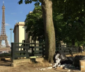 Parisul nu reuseste sa scape de mormanele de gunoaie de pe strazi. Primaria a dat 38.000 de amenzi in 2017, insa degeaba